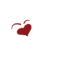 Photographer