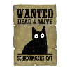 Se busca el gato de Schrödinger vivo y muerto