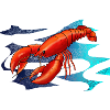 Lobster, lobster, sea