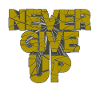 never give up