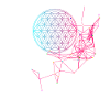 Fleur de vie