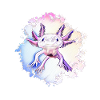 Axolotl