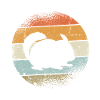Chinchilla