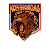 Koningsdag Lion