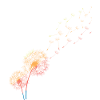 Dandelion, of grass, dandelion