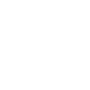 Pfadfinder Evolution