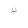 scout