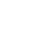 scout