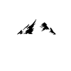 scout
