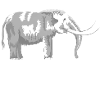 hellmut mammoth joke