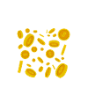 Money gift capitalism coins