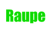 Raupe