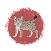 lynx