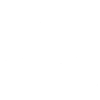 Labrador Retriever Portrait