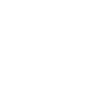 Portrait de labrador retriever