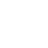 Labrador Retriever Portrait