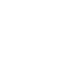 Bracco Italiano