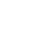 INTJ architecte stratège