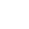 INTP logicien