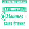 Saint-Étienne,football,socer,club,football,