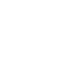 Islandpferd Tölten