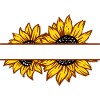 Doppelte Sonnenblumen-Split-Farbe