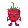 raspberry