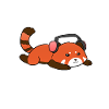 Music Red Panda Kpop