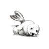 Bébé phoque
