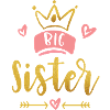 Big Sister Announcement – Baby & Kids Clothes