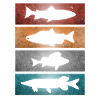 Poissons pêche prédateurs