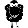 Black sheep