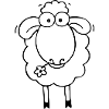 Sheep white