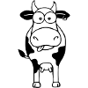 Cow white