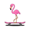 flamingo skater