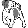 hund