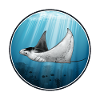 manta ray