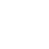 Flying woodpecker
