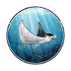 Mantarochen