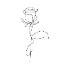 rose lineout