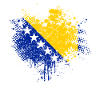 Bosnia flag