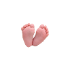 Feet