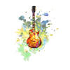 Guitar electric guitar guitarist