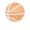 Ballon de basket-