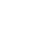 The boss