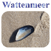 Wattenmeer