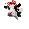 Cow Bandana