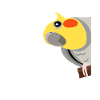 Cockatiel mignon perroquet