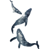 Template4