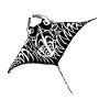 manta maori blk white